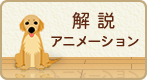 解説アニメーション